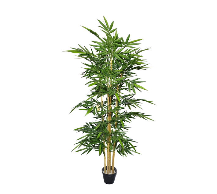 Artificial Bamboo tree-6ft | Makro