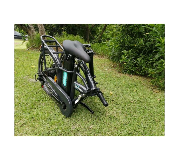 250 watt electric bike